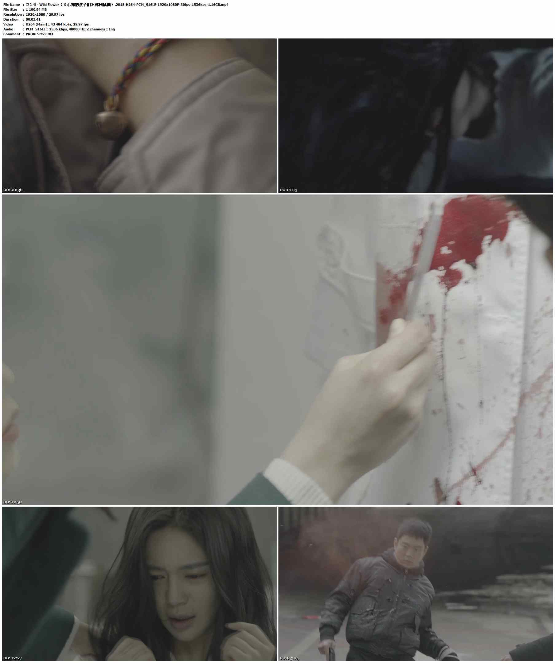 안신애 - Wild Flower（《小神的孩子们》韩剧插曲）.2018-H264-PCM_S16LE-1920x1080P-30fps-1536kbs-1.16GB官方MV_高清MV